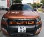 Ford Ranger Wildtrak 3.2L 4x4 AT 2016 - Bán Ford Ranger Wildtrak 3.2L 4x4 AT 2016, màu nâu, nhập khẩu 