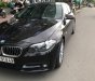 BMW 5 Series 520i 2015 - Cần bán gấp BMW 5 Series 520i 2015, màu đen, nhập khẩu  