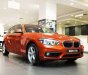 BMW 1 Series  118i   2017 - Bán BMW 118i sản xuất 2017 số tự động