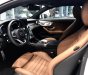 Mercedes-Benz C class C300 Coupe 2018 - Bán xe Mercedes C300 Coupe. Xe giao ngay