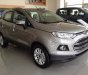 Ford EcoSport 2016 - Cần bán gấp Ford EcoSport đời 2016, màu xám giá cạnh tranh