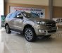 Ford Everest 2018 - Bán xe Ford Everest sản xuất 2018, màu vàng 