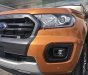 Ford Ranger Wildtrak 2.0L 4x2 AT 2018 - Cần bán xe Ford Ranger Wildtrak 2.0L 4x2 AT sản xuất 2018, nhập khẩu, giá chỉ 853 triệu