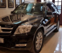 Mercedes-Benz GLK Class 2010 - Bán Mercedes-Benz GLK Class sản xuất 2010 màu đen, giá chỉ 810 triệu