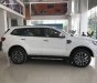 Ford Everest  Titanium Single Turbo 2.0L 2WD AT 2018 - Bán xe Ford Everest 2018, màu trắng