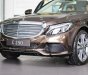 Mercedes-Benz C class  C250 2018 - Bán Mercedes C250 2018, màu nâu, xe đủ màu, giao ngay