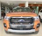 Ford Ranger Wildtrak 2.0L 4x4 AT 2018 - Bán xe Ford Ranger Wildtrak 2.0L 4x4 AT sản xuất 2018, nhập khẩu nguyên chiếc, 918tr