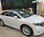 Toyota Venza 2009 - Cần bán xe Venza đời 2009, đăng kí 2010