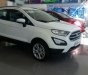 Ford EcoSport Ecosport   2018 - Bán Ford Ecosport 2018 giá từ 545 triệu LH: 0905 409 971