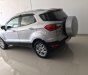 Ford EcoSport 2016 - Cần bán xe Ford EcoSport năm sản xuất 2016, màu bạc