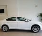 Volkswagen Passat 2017 - Bán Volkswagen Passat Bluemotion sản xuất 2017, màu trắng, nhập khẩu, giảm giá khủng những ngày cuối tháng