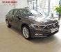 Volkswagen Passat Bluemotion 2018 - Volkswagen Passat Bluemotion 2018 - xe nhập khẩu đức giá tốt, hỗ trợ trả góp 90%/ hotline: 090.898.8862