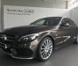 Mercedes-Benz C class C300 2017 - Bán xe Mercedes C300 Nâu cũ - lướt 7/2018 chính hãng