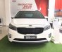 Kia Sedona  DAT  2018 - Cần bán Kia Sedona DAT sản xuất 2018, màu trắng