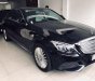 Mercedes-Benz C class C 2015 - Bán Mer C250 sản xuất 2015