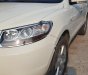 Hyundai Santa Fe 2008 - Xe Hyundai Santa Fe sản xuất năm 2008, màu trắng, nhập khẩu 