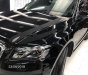 Audi Q5 2010 - Cần bán lại xe Audi Q5 đời 2010, màu đen, nhập khẩu chính chủ 