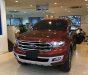 Ford Everest Titanium 2.0L 4x4 AT 2018 - Bán Ford Everest nhập khẩu nguyên chiếc 100% từ Mỹ