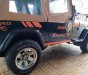 Jeep Wrangler 1997 - Bán Jeep Wrangler 1997, có giấy hải quan
