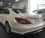 Mercedes-Benz CLS class CLS350 2016 - Bán xe Mercedes CLS350 trắng cũ - lướt 4/2018 chính hãng