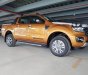 Ford Ranger Wildtrak 2.0 Bi-Turbo 4x4 2018 - Bán ô tô Ford Ranger Wildtrak 2.0 2018, 916tr