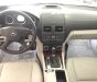 Mercedes-Benz C class C250 CGI 2009 - Cần bán gấp Mercedes C250 CGI đời 2010, màu xám 