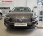 Volkswagen Passat Bluemotion 2018 - Volkswagen Passat Bluemotion 2018 - xe nhập khẩu đức giá tốt, hỗ trợ trả góp 90%/ hotline: 090.898.8862