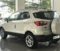 Ford EcoSport 2018 - Bán ô tô Ford EcoSport năm sản xuất 2018, màu trắng 