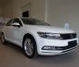 Volkswagen Passat 2017 - Bán Volkswagen Passat Bluemotion sản xuất 2017, màu trắng, nhập khẩu, giảm giá khủng những ngày cuối tháng