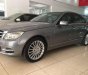 Mercedes-Benz C class C250 CGI 2009 - Cần bán gấp Mercedes C250 CGI đời 2010, màu xám 