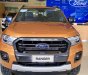 Ford EcoSport Ecosport 2018 - Mua xe ngoại - không ngại chi phí