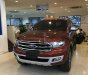 Ford Everest Trend AT 2018 - Bán Ford Everest 2018 giá tốt, xe giao ngay