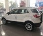 Ford EcoSport 2018 - Bán ô tô Ford EcoSport năm sản xuất 2018, màu trắng 