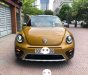 Volkswagen Beetle 2017 - Bán Volkswagen Beetle Dune 2.0 TSI nhập khẩu nguyên chiếc, nội thất da sang trọng