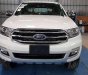 Ford Everest   2018 - Bán Ford Everest năm sản xuất 2018, màu trắng, xe nhập