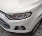 Ford EcoSport Titanium 2017 - Bán Eco Sport Titanium chạy lướt như mới