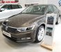 Volkswagen Passat Bluemotion 2018 - Volkswagen Passat Bluemotion 2018 - xe nhập khẩu đức giá tốt, hỗ trợ trả góp 90%/ hotline: 090.898.8862