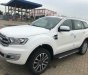 Ford Everest Trend AT 2.0 Biturbo 2018 - Bán xe Ford Everest Trend AT 2.0 Biturbo sản xuất năm 2018, màu trắng 