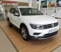 Volkswagen Tiguan Allspace 2018 - Bán Tiguan Allspace 2018 màu trắng - chính hãng Volkswagen, giá tốt, đủ màu, giao ngay, Hotline 090.898.8862