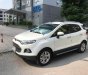 Ford EcoSport 2014 - Gia đình cần bán xe Ford Ecosport đời 2014, xe đẹp xuất sắc