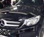 Mercedes-Benz C class C300 2016 - Bán Mercedes C300 sản xuất 2016