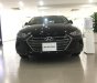 Hyundai Elantra 1.6 AT 2018 - Bán Hyundai Elantra 1.6 AT màu đen xe có sẵn giao ngay, hỗ trợ vay trả góp lãi suất ưu đãi, LH 0903 175 312