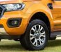 Ford Ranger Wildtrak 2.0 Bi 2018 - Bán ô tô Ford Ranger Wildtrak 2.0 Bi đời 2018, nhập khẩu   