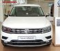 Volkswagen Tiguan Allspace 2018 - Bán Tiguan Allspace 2018 màu trắng - chính hãng Volkswagen, giá tốt, đủ màu, giao ngay, Hotline 090.898.8862