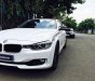 BMW 3 Series 320i 2013 - Bán BMW 3 Series 320i 2013, màu nâu, nhập khẩu 45000Km