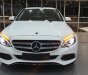 Mercedes-Benz C class C200 2018 - Cần bán gấp Mercedes C200 đời 2018, thiết kế Kodo, công nghệ Skyactiv