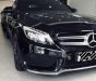 Mercedes-Benz C class C300 2016 - Bán Mercedes C300 sản xuất 2016