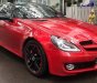 Mercedes-Benz SLK class   350 2009 - Cần bán Mercedes SLK 350, xe 2 cửa thể thao, siêu sang chảnh