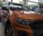 Ford Ranger Wildtrack 2.0 Bi-Turbo 4x4 2018 - Bán xe Ford Ranger 2.0 Bi-Turbo 4x4, 2018, màu cam, nhập khẩu, xe đẹp giá tốt giao ngay
