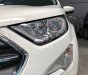 Ford EcoSport 2018 - Xe đủ màu giao ngay, bán ô tô Ford EcoSport sản xuất 2018, màu trắng, 580tr